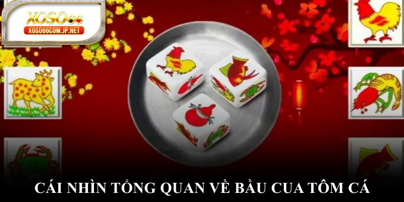 Cái nhìn tổng quan về bầu cua tôm cá Cái nhìn tổng quan về bầu cua tôm cá